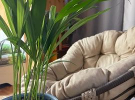 Дом в Ставропольский край, Пятигорск Университетская ул., 21 (30 м²) - . Пятигорск - фото 1