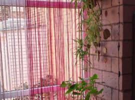Дом в Волгоградская область, Волгоград ул. Азизбекова, 32 (55 м²) - . Волгоград - фото 7