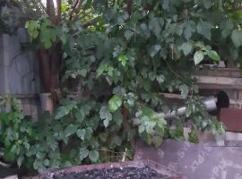 Дом в Ставропольский край, Кисловодск ул. Розы Люксембург, 9 (40 м²) - . Кисловодск - фото 11