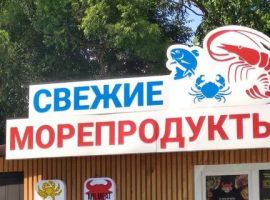 Дом в Приморский край, Владивосток 5-я ул., 12 (15 м²) - . Владивосток - фото 5
