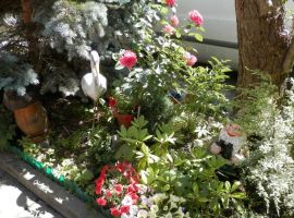 Дом в Калининградская область, Калининград Львовская ул., 4 (32 м²) - Львовская. Калининград - фото 10
