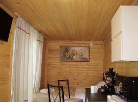 Дом в Московская область, Шатура  (18 м²) - . Шатура - фото 1
