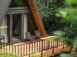 Дом в Алтайский край, Белокуриха ул. Угрюмова, 20 (44 м²) - . Белокуриха - фото 10
