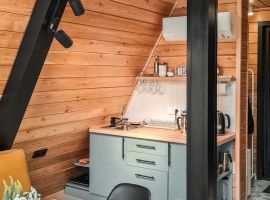Дом в Алтайский край, Белокуриха ул. Угрюмова, 20 (44 м²) - . Белокуриха - фото 2