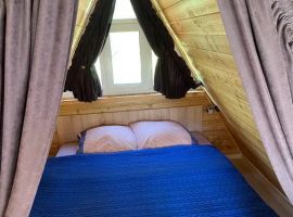 Дом в Алтайский край, Белокуриха Алтайская ул., 74 (36 м²) - . Белокуриха - фото 2