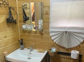 Дом в Алтайский край, Белокуриха Алтайская ул., 74 (36 м²) - . Белокуриха - фото 5