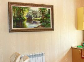 Дом в Приморский край, Артем Западная ул., 18 (72 м²) - Западная. Артем - фото 14