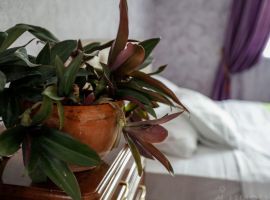 Дом в Краснодарский край, Краснодар ул. Героев-Разведчиков, 8к1 (120 м²) - . Краснодар - фото 10