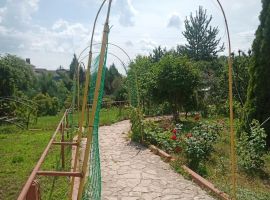 Дом в Саратовская область, Энгельс Лесная ул., 56 (250 м²) - Подлесная. Энгельс - фото 4