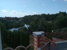 Дом в Саратовская область, Энгельс Лесная ул., 56 (250 м²) - Подлесная. Энгельс - фото 6