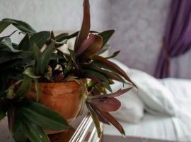 Дом в Ростовская область, Таганрог пер. 5-й Артиллерийский, 69 (120 м²) - . Таганрог - фото 45