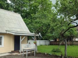 Дом в Псковская область, Печоры ул. Свободы, 18 (45 м²) - Свободы. Печоры - фото 3