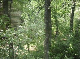 3-к. дом, 45 м² - . Саратов - фото 5