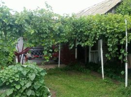 Дом в Волгоградская область, Дубовка ул. Имени Шишлянникова, 105 (80 м²) - . Дубовка - фото 10