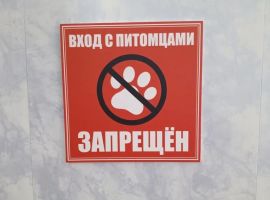 Дом в Волгоградская область, Камышин Советская ул., 41 (47 м²) - Новосоветская. Камышин - фото 13