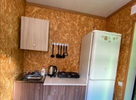 Дом в Алтайский край, Яровое ул. Химиков, 55 (50 м²) - . Яровое - фото 17