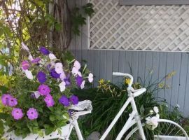 Дом в Ленинградская область, Гатчина Корпиковское ш., 27/7 (20 м²) - . Гатчина - фото 7