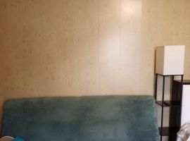 Дом в Рязанская область, Рязань Солотча р-н, 9 (50 м²) - . Рязань - фото 12