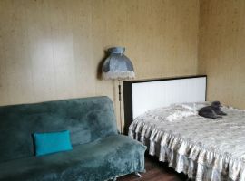 Дом в Рязанская область, Рязань Солотча р-н, 9 (50 м²) - . Рязань - фото 7