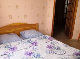 Дом в Алтайский край, Яровое Социалистическая ул., 4 (100 м²) - . Яровое - фото 3