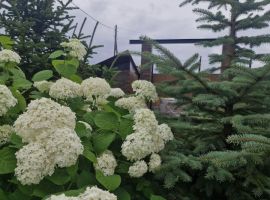Дом в Приморский край, Большой Камень ул. Кирова, 46 (250 м²) - Кирова (ГСК N 740 тер.). Большой Камень - фото 6