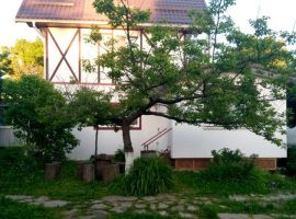 Дом в Калининградская область, Пионерский Железнодорожный пер., 8 (70 м²) - Железнодорожный. Пионерский - фото 5