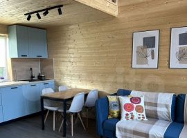 1-к. дом, 40 м² - Дружбы Народов. Куса - фото 15
