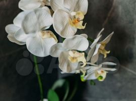 3-к. коттедж, 70 м² - Первомайская. Горно-Алтайск - фото 24
