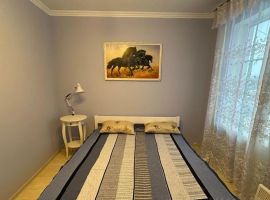 Дом в Ярославская область, Ростов ул. Петровичева, 11 (91 м²) - . Ростов - фото 17