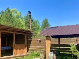 Дом в Челябинская область, Куса Лесная ул., 22 (100 м²) - Подлесная. Куса - фото 3