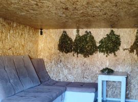 Дом в Тюменская область, Тобольск Зеленая ул., 70 (100 м²) - Зеленая (СНТ Нижние дойки-массив N3 тер.. Тобольск - фото 9