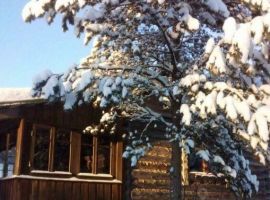 Дом в Тверская область, Торопец  (30 м²) - . Торопец - фото 18