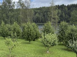 Дом в Ленинградская область, Каменногорск Выборгский район, Горная ул., 20 (64 м²) - Подгорная. Каменногорск - фото 17