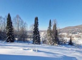 Дом в Кемеровская область, Таштагол ул. Зои Космодемьянской, 18А (50 м²) - Зои Космодемьянской. Таштагол - фото 19