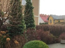 Дом в Калининградская область, Светлогорск Малый пер., 7 (120 м²) - Малый (Орлов Овраг тер.). Светлогорск - фото 32