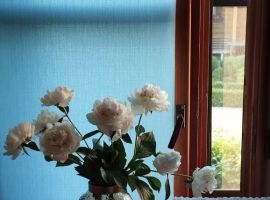 Дом в Воронежская область, Павловск ул. Победа, 43Б (70 м²) - 2-я (ДПК Победа Октября Студеный Овраг т. Павловск - фото 14