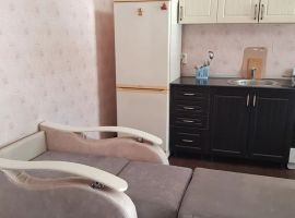 Дом в Воронежская область, Павловск Придорожная ул., 41 (40 м²) - . Павловск - фото 15