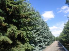 Дом в Владимирская область, Суздаль ул. Мелиораторов, 7/1 (102 м²) - . Суздаль - фото 27