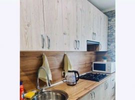 Дом в Ставропольский край, Пятигорск Цементный пер., 1 (50 м²) - . Пятигорск - фото 4