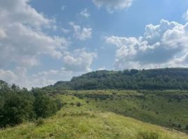 Дом в Ставропольский край, Кисловодск ул. Чапаева, 131 (80 м²) - Чапаева. Кисловодск - фото 10