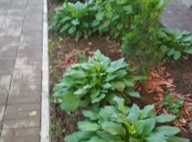 Дом в Смоленская область, Смоленск ул. Зои Космодемьянской, 44 (80 м²) - Зои Космодемьянской. Смоленск - фото 31
