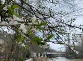 Дом в Краснодарский край, Сочи Хоста жилрайон, ул. Октября, 28/1 (60 м²) - 2-я (ДПК Победа Октября Студеный Овраг т. Сочи - фото 5