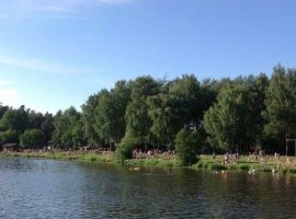 Дом в Костромская область, Кострома ул. 2-я Берендеевская, 3 (30 м²) - . Кострома - фото 10