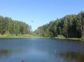 Дом в Костромская область, Кострома ул. 2-я Берендеевская, 3 (30 м²) - . Кострома - фото 11
