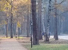 Дом в Костромская область, Кострома ул. 2-я Берендеевская, 3 (30 м²) - . Кострома - фото 8