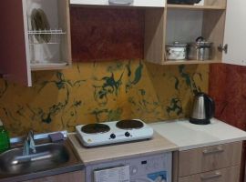 Дом в Приморский край, Артем Амурская ул., 44 (25 м²) - . Артем - фото 2