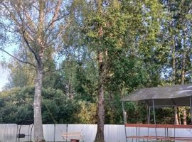 Дом в Ярославская область, Мышкин Солнечная ул., 89 (55 м²) - Солнечная поляна. Мышкин - фото 9