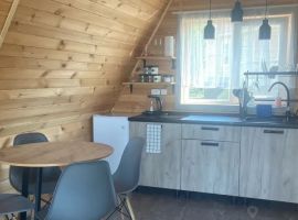 Дом в Алтайский край, Белокуриха ул. Дружная, 14 (40 м²) - . Белокуриха - фото 11
