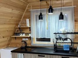 Дом в Алтайский край, Белокуриха ул. Дружная, 14 (40 м²) - . Белокуриха - фото 14