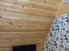 Дом в Алтайский край, Белокуриха ул. Дружная, 14 (40 м²) - . Белокуриха - фото 18